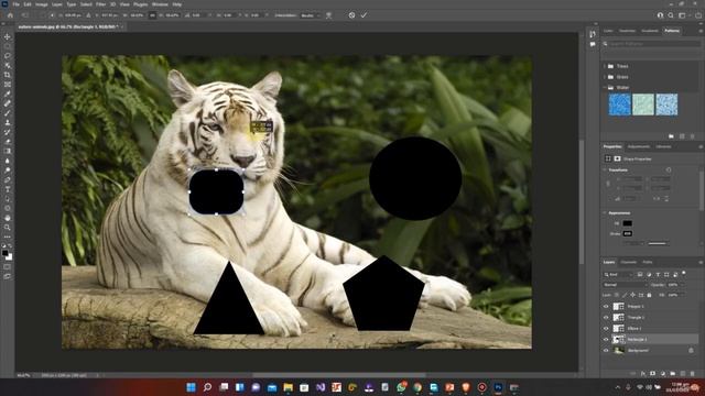 Ultimate Adobe Photoshop Training - From Beginner To Pro 2022 || Transform Layers In Photoshop
