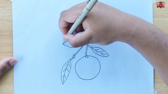 How to Draw a Clementine Orange Drawing Easy смотреть онлайн