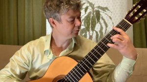 Обзор гитар Hohner HC06 с разными этикетками