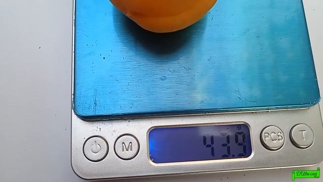 Абрикос Харогем, Астрахань 2022г. смотреть онлайн