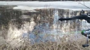 Пистолет-арбалет для рыбалки