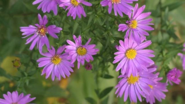 С добрым октябрьским утром смотреть онлайн