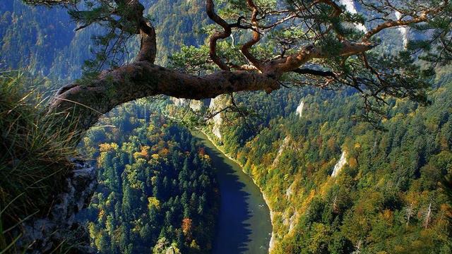 Rafał Blechacz - CHOPIN - Concerto for Piano and Orchestra No.2 / Allegro vivace смотреть онлайн