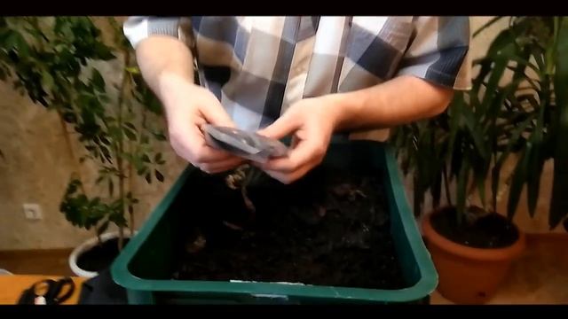 1. Получил вермикомпостер, дендробен, старателей. Моё мнение смотреть онлайн