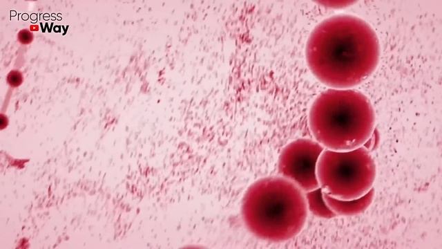 Вот Эти Каши Укрепляют Сердце! 4 Золотых Каши Для Вашего Мотора | Progress Way