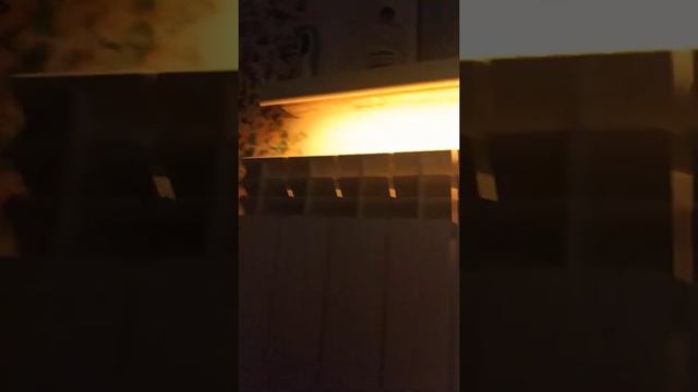 Вежливая подсветка в туалете смотреть онлайн