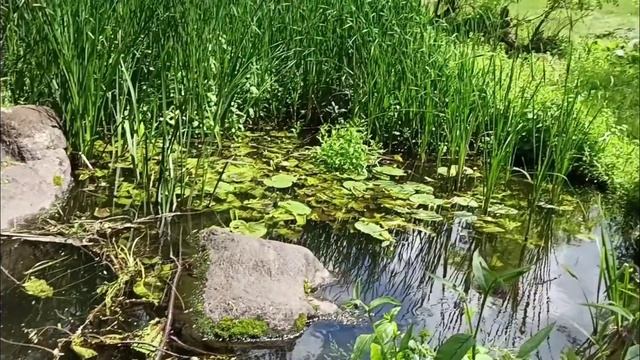 Девятый лунный день?Привлекаем деньги || Упражнение на 9 лунные сутки смотреть онлайн