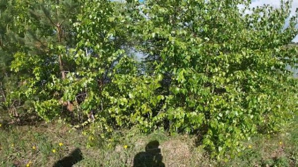 ОЗЕРО ШАЛИНСКОЕ 2022!...