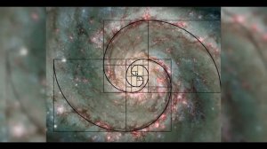 Число Бога.  Золотое сечение.  Крах теории эволюции