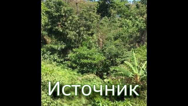 Энергия нулевой точки 3. Стих "Источник" . Тринити Тан смотреть онлайн