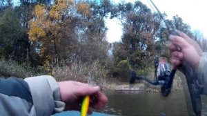 Твичинг для начинающих. Как выбрать заглубление воблера