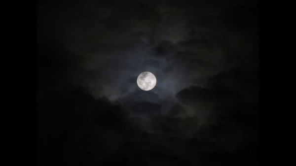 Dilbərim / Ay işığında ( Tar ekspromt )