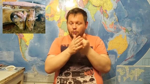 Экспресс Сегодня № 100 смотреть онлайн