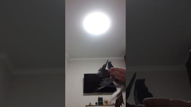 Дракон Hushike идея моя залайкайте если хотите тутор смотреть онлайн