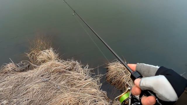 Спиннинг GAMAKATSU LUXXE YOIHIME HANA S63UL в работе. Уловистые приманки для пассивного окуня. смотреть онлайн