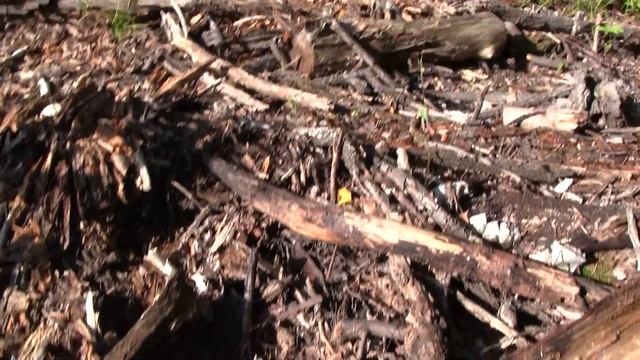 Труха очень полезна для участка, деревьев. смотреть онлайн