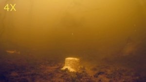 ВОТ ЭТО ПОВОРОТ!!! Технопланктон в действии! Подводная съемка