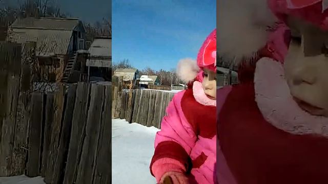 Ходили на дачу. Голодные собаки!!! смотреть онлайн