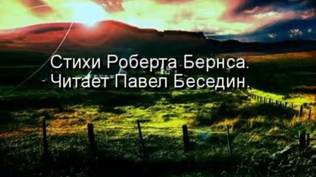 Белая куропатка, Роберт Бернс , Зарубежная Поэзия , читает Павел Беседин смотреть онлайн