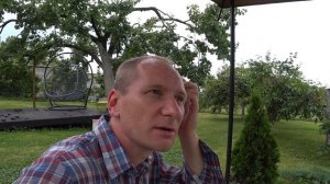 Болезни абрикос летом во время созревания плодов - Быстрое решение