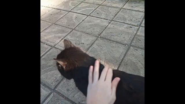 Пришла весна смотреть онлайн