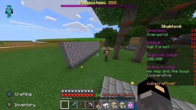 Is Cubecraft Skyblock Rank Worth It!? (BEDROCK/JAVA) смотреть онлайн