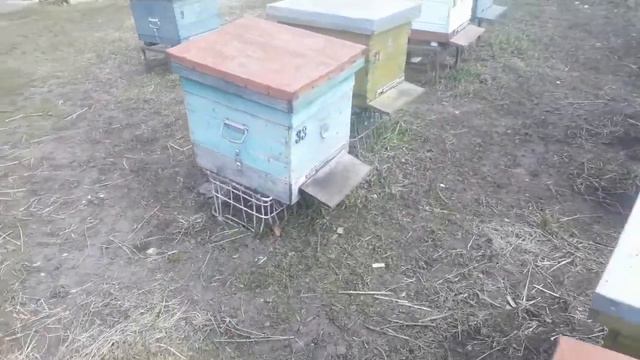 ПОГОДА НА ПАСЕКЕ смотреть онлайн