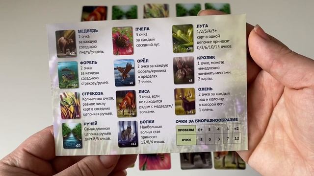 Настольная игра «Экосистема». 10+ смотреть онлайн