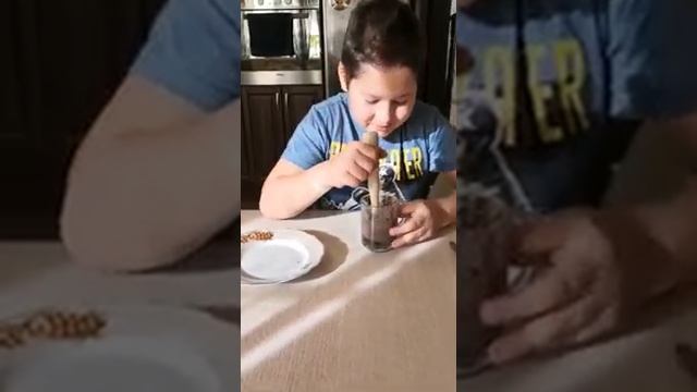 Умный домашний помощник