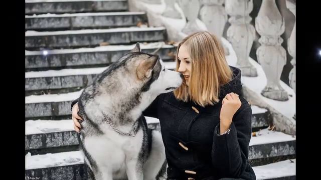 Энжел, с днём рождения! смотреть онлайн