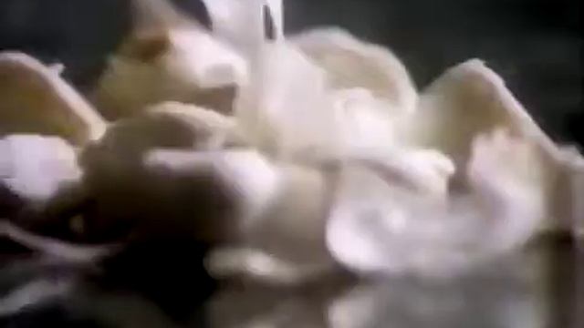 Ragu Ad- Thick & Hearty (1991) смотреть онлайн