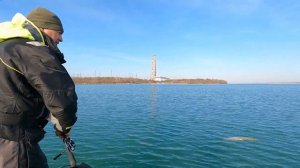 Новотроицкое водохранилище. Зимний спиннинг. 10 января 2022г.