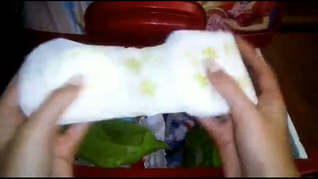 Пробное видео /хранение ПК/Надя смотреть онлайн