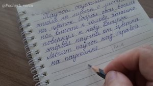 Как писать в тетради в широкую линию?
