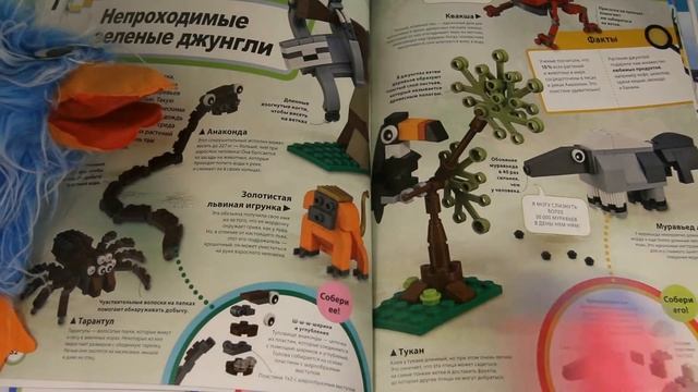 Lego книга Атлас животных, с набором LEGO из 60 элементов. Обзор. смотреть онлайн