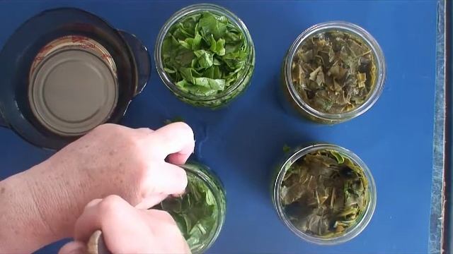 Анимационные Короткометражки