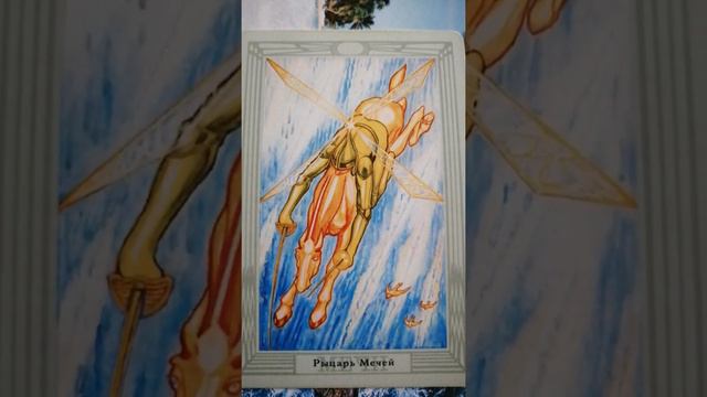 Прогноз на Таро Кроули на ноябрь 2021 года смотреть онлайн