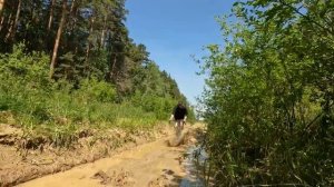 ВЕЛО приключения выходного дня вместе с каналом SPIRIDONOVLOG
