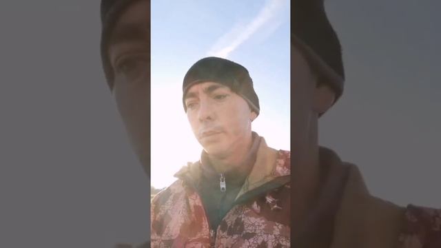 Продажа дров. Как всё началось. #БизнесНадровах смотреть онлайн