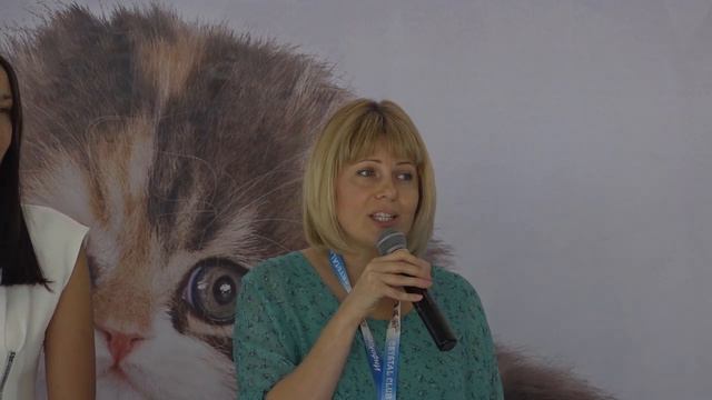 Инфокот 2015 - открытие смотреть онлайн