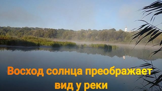 Утро на реке с 4 до 9 утра. Восход солнца преображает вид реки/Morning on the river from 4 to 9 am. смотреть онлайн