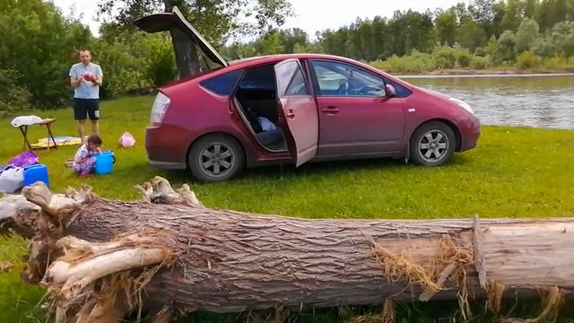 После большей воды,на берегу реки Абакан остались лежать Гиганские коряги.Отдых на реке Абакан. смотреть онлайн