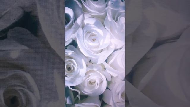 ? Букет из белых роз! ? Очень красивая песня! ? смотреть онлайн