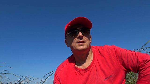 Как уговорить карася! смотреть онлайн