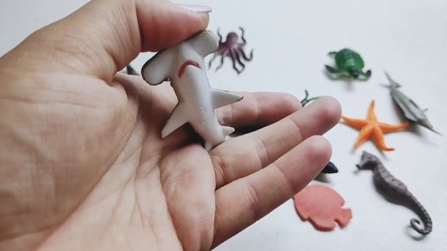 Морские животные для малышей