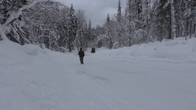 Как подняться в ГОРУ ЗИМОЙ на Урале лесовозе? Если тепло, скользко и цепи не помогают... смотреть онлайн