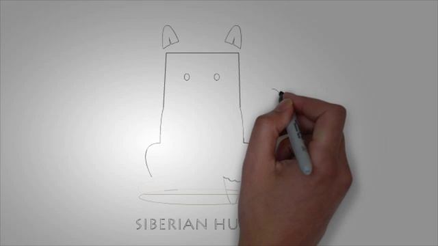 Рисунки собак карандашом. КАК легко НАРИСОВАТЬ СОБАКУ смотреть онлайн