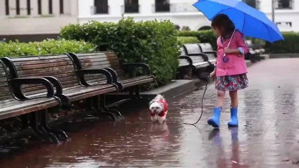 Crocs история бренда ТРЦ Jam Moll 1этаж