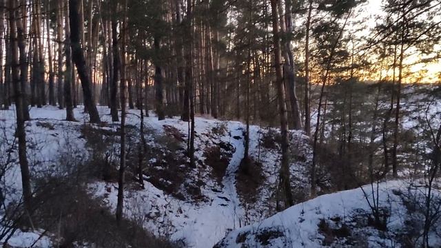 Одиночный зимний поход с ночёвкой в палатке | Старый Салтов - февраль 2022 | Девушка с палаткой. смотреть онлайн