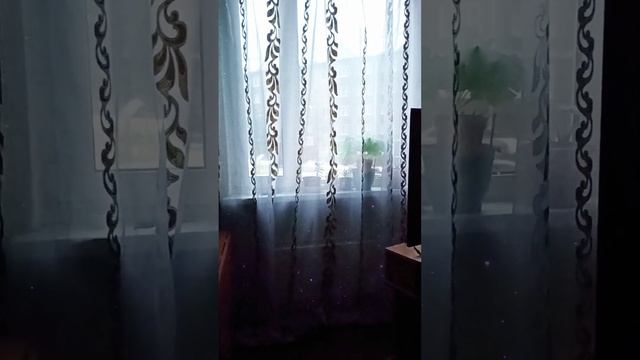 Мой выходной/залезла под потолок/помыла окно/повесила гирлянду занавес/очень красиво смотрится/ смотреть онлайн